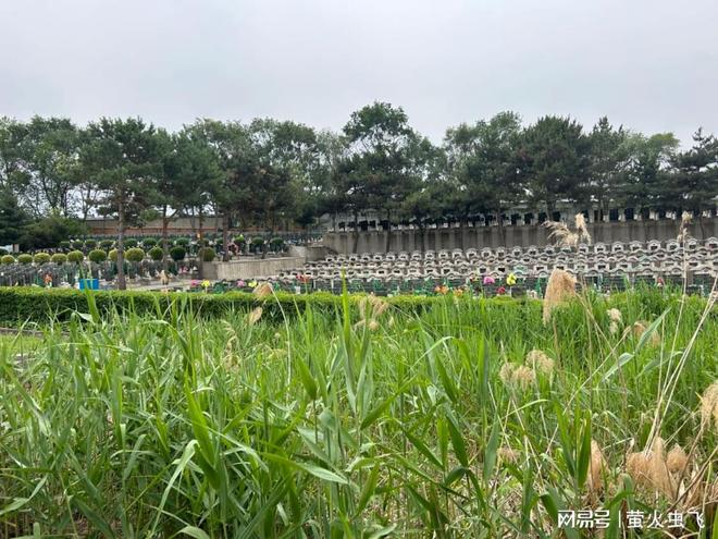 均增值87%3万预算的时空胶囊！九游会情感不动产：沈阳东山公墓年